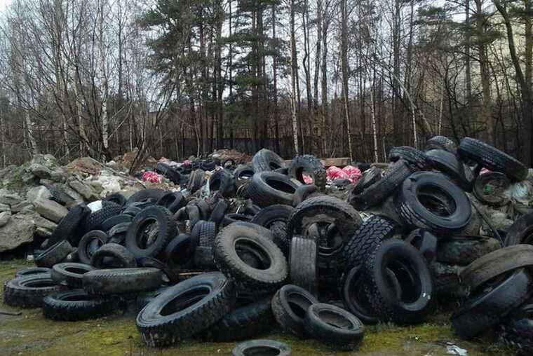 Коррупционный круг: УФССП и департамент промышленности покрывают незаконный вывоз шин в Вологду и Миасс