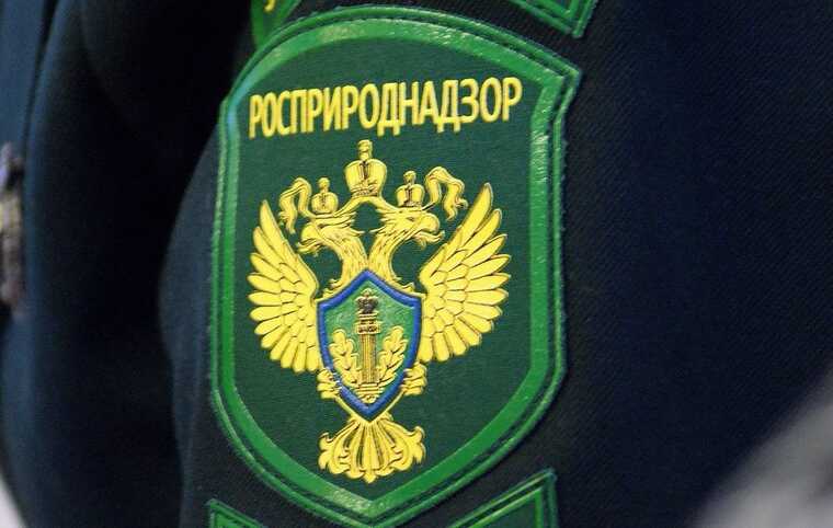 Росприроднадзор требует с владельцев затонувших танкеров 85 миллиардов рублей