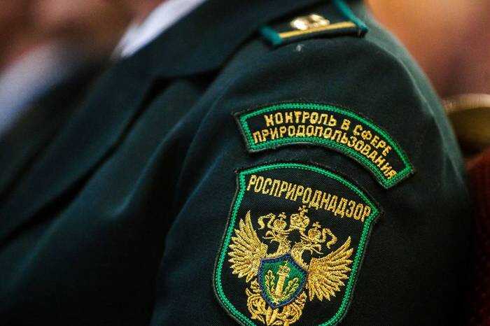 За загрязнение почвы на Ершовом Росприроднадзор предъявил иски «Тарховскому» на 200 миллионов рублей